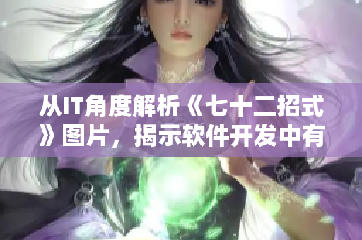 从IT角度解析《七十二招式》图片，揭示软件开发中有效的技巧
