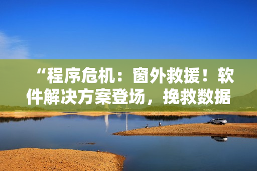 “程序危机：窗外救援！软件解决方案登场，挽救数据危局！”