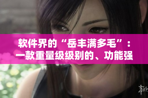 软件界的“岳丰满多毛”：一款重量级级别的、功能强大的软件