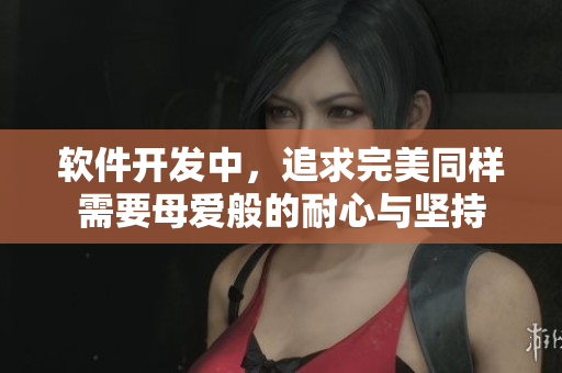 软件开发中，追求完美同样需要母爱般的耐心与坚持