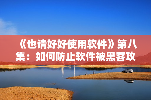 《也请好好使用软件》第八集：如何防止软件被黑客攻击？