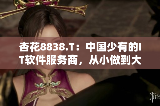 杏花8838.T：中国少有的IT软件服务商，从小做到大