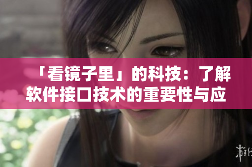 「看镜子里」的科技：了解软件接口技术的重要性与应用
