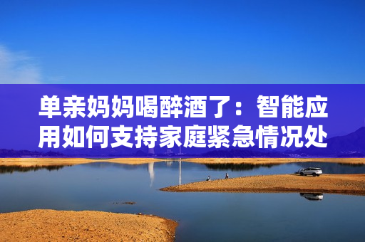 单亲妈妈喝醉酒了：智能应用如何支持家庭紧急情况处理？