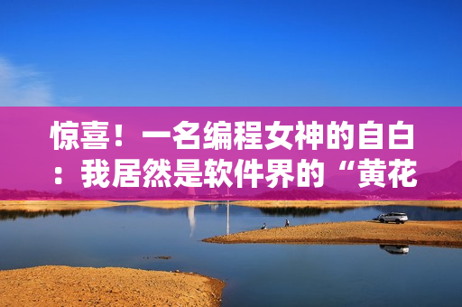 惊喜！一名编程女神的自白：我居然是软件界的“黄花大闺女”