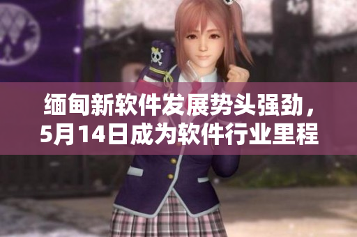 缅甸新软件发展势头强劲，5月14日成为软件行业里程碑日