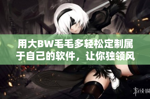 用大BW毛毛多轻松定制属于自己的软件，让你独领风骚！