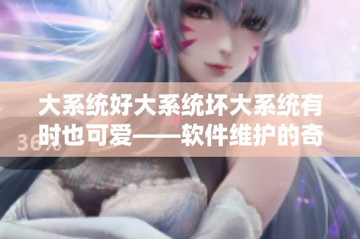 大系统好大系统坏大系统有时也可爱——软件维护的奇妙之处
