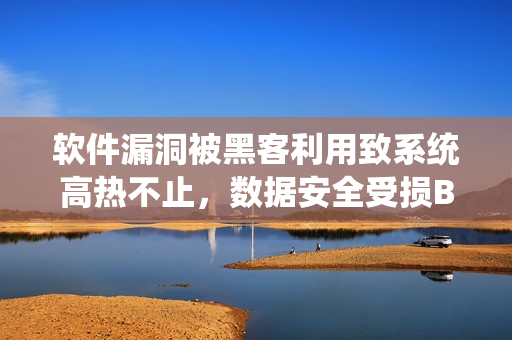 软件漏洞被黑客利用致系统高热不止，数据安全受损BY黄昏