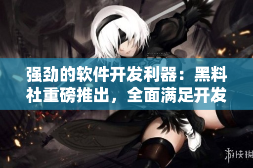 强劲的软件开发利器：黑料社重磅推出，全面满足开发者需求