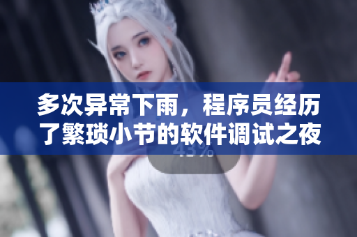 多次异常下雨，程序员经历了繁琐小节的软件调试之夜