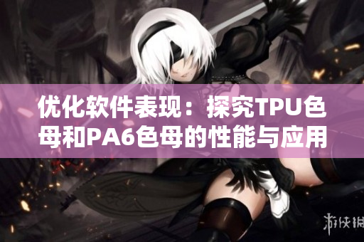 优化软件表现：探究TPU色母和PA6色母的性能与应用