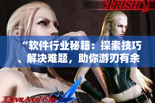 “软件行业秘籍：探索技巧、解决难题，助你游刃有余”