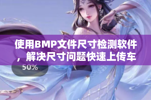 使用BMP文件尺寸检测软件，解决尺寸问题快速上传车票
