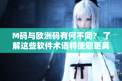 M码与欧洲码有何不同？ 了解这些软件术语将使您更具亲和力