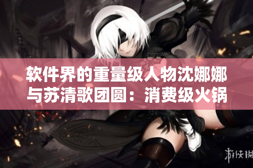 软件界的重量级人物沈娜娜与苏清歌团圆：消费级火锅软件逐步升级