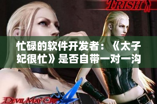 忙碌的软件开发者：《太子妃很忙》是否自带一对一沟通软件？