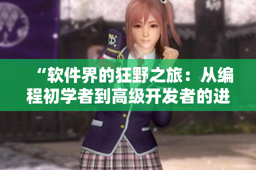 “软件界的狂野之旅：从编程初学者到高级开发者的进阶探索”