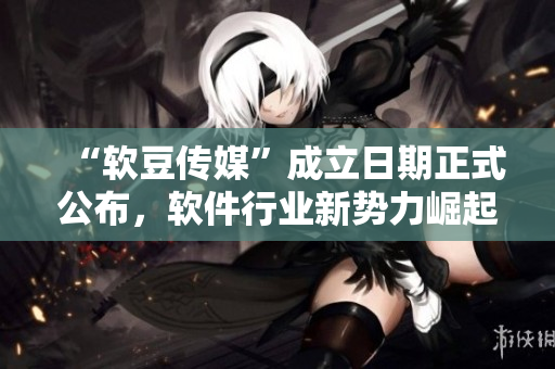 “软豆传媒”成立日期正式公布，软件行业新势力崛起！
