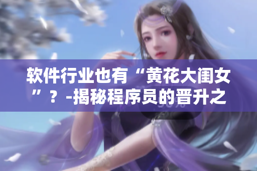 软件行业也有“黄花大闺女”？-揭秘程序员的晋升之路！