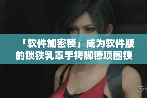 「软件加密锁」成为软件版的锁铁乳罩手铐脚镣项圈锁
