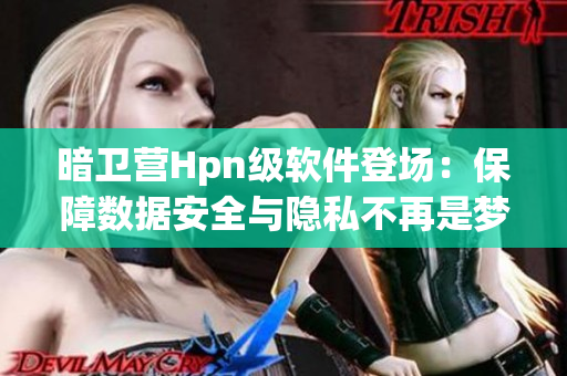 暗卫营Hpn级软件登场：保障数据安全与隐私不再是梦想