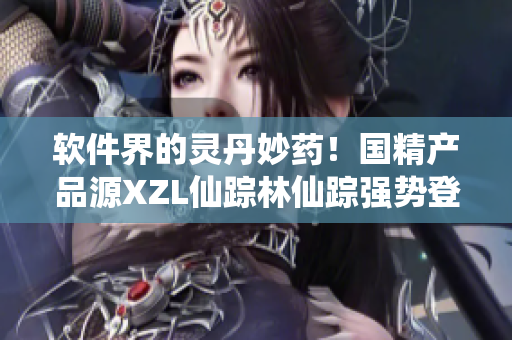 软件界的灵丹妙药！国精产品源XZL仙踪林仙踪强势登陆