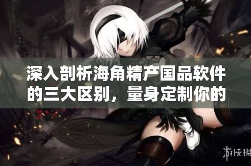 深入剖析海角精产国品软件的三大区别，量身定制你的职场利器