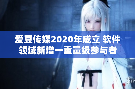 爱豆传媒2020年成立 软件领域新增一重量级参与者