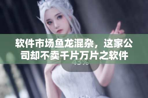软件市场鱼龙混杂，这家公司却不卖千片万片之软件