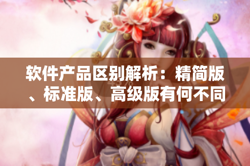 软件产品区别解析：精简版、标准版、高级版有何不同？