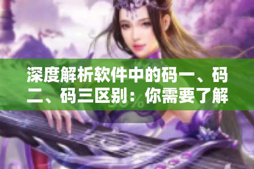 深度解析软件中的码一、码二、码三区别：你需要了解的一切