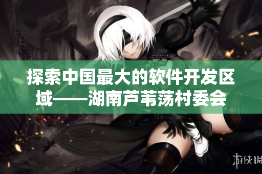 探索中国最大的软件开发区域——湖南芦苇荡村委会