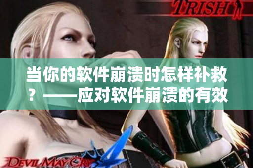 当你的软件崩溃时怎样补救？——应对软件崩溃的有效策略