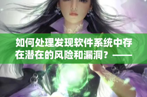 如何处理发现软件系统中存在潜在的风险和漏洞？——编辑的建议