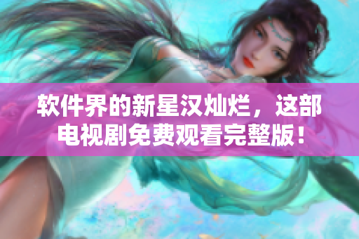 软件界的新星汉灿烂，这部电视剧免费观看完整版！