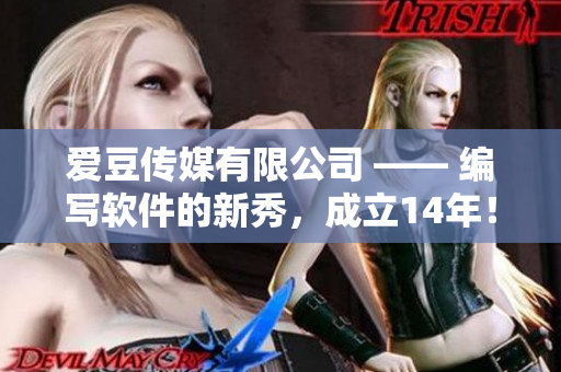 爱豆传媒有限公司 —— 编写软件的新秀，成立14年！