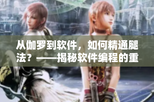 从伽罗到软件，如何精通腿法？——揭秘软件编程的重要技能