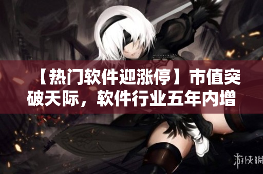 【热门软件迎涨停】市值突破天际，软件行业五年内增长率达百分之三百！