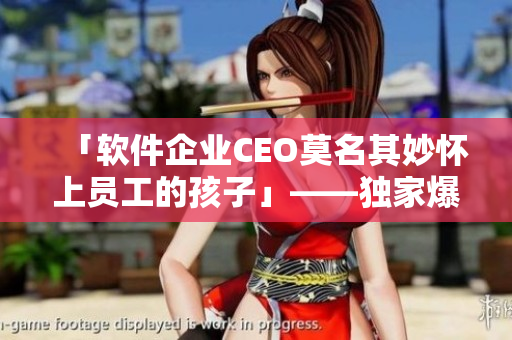 「软件企业CEO莫名其妙怀上员工的孩子」——独家爆料