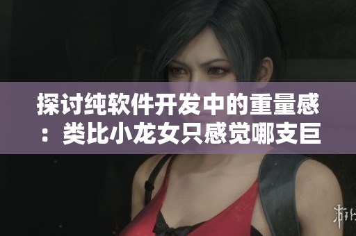探讨纯软件开发中的重量感：类比小龙女只感觉哪支巨大的火龙枪