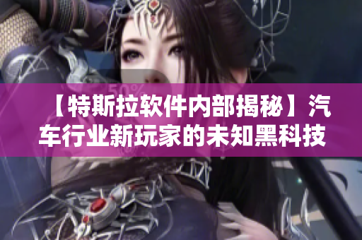 【特斯拉软件内部揭秘】汽车行业新玩家的未知黑科技！