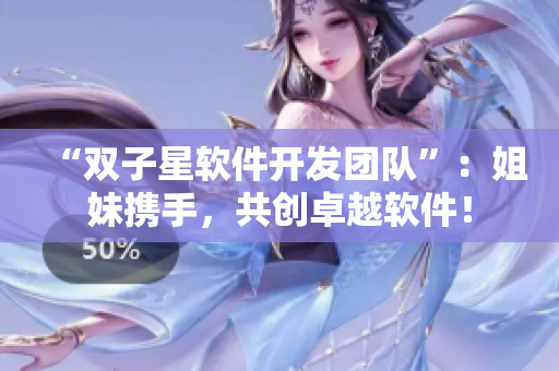 “双子星软件开发团队”：姐妹携手，共创卓越软件！