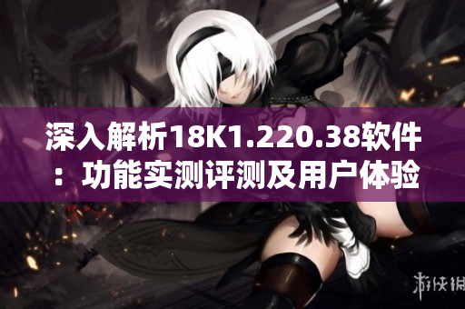 深入解析18K1.220.38软件：功能实测评测及用户体验分析
