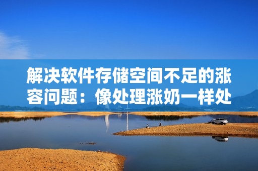 解决软件存储空间不足的涨容问题：像处理涨奶一样处理数据