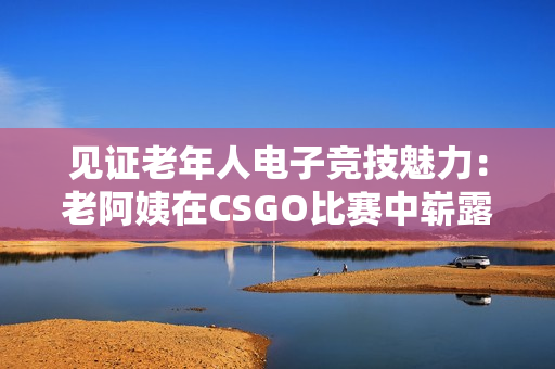 见证老年人电子竞技魅力：老阿姨在CSGO比赛中崭露头角