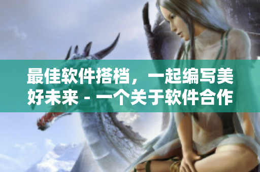 最佳软件搭档，一起编写美好未来 - 一个关于软件合作的故事