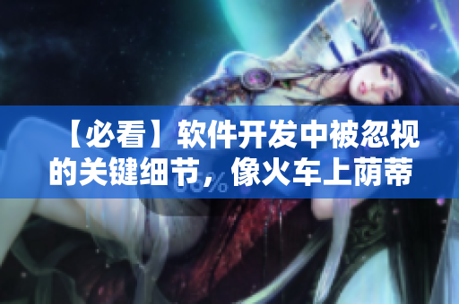 【必看】软件开发中被忽视的关键细节，像火车上荫蒂添般的舒适！