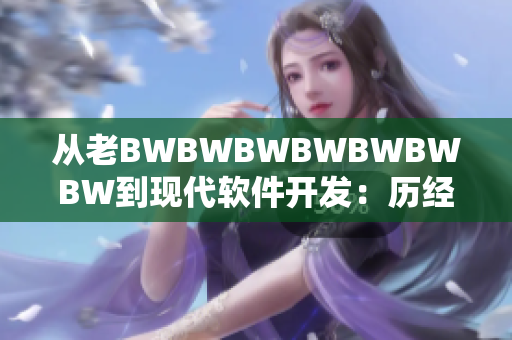 从老BWBWBWBWBWBWBW到现代软件开发：历经变革的软件世界