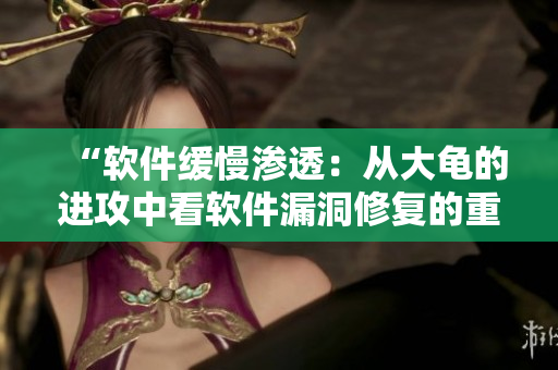 “软件缓慢渗透：从大龟的进攻中看软件漏洞修复的重要性”